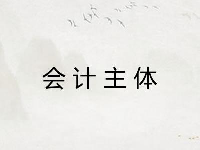 会计主体