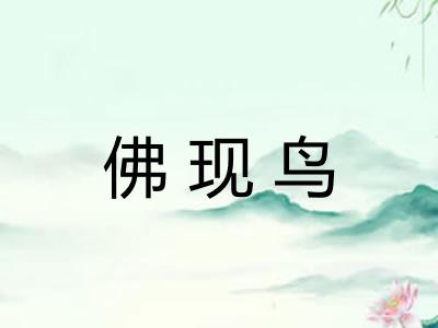 佛现鸟