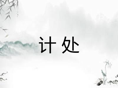 计处