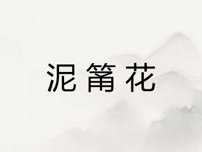 泥筩花