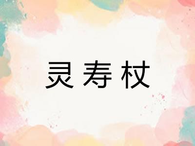 灵寿杖