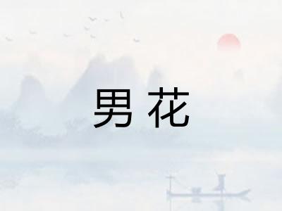 男花