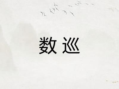 数巡