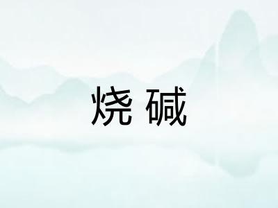 烧碱 烧碱