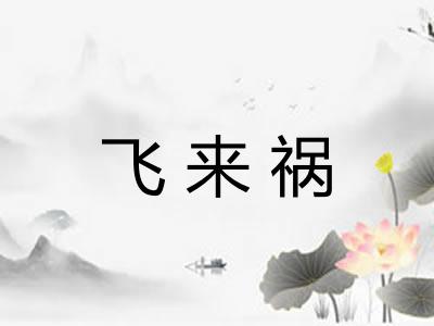 飞来祸