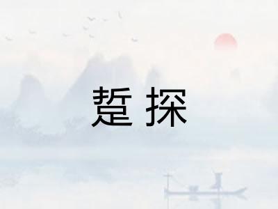 踅探
