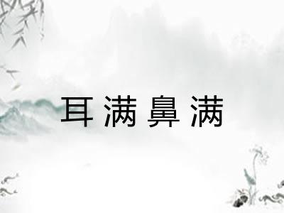耳满鼻满