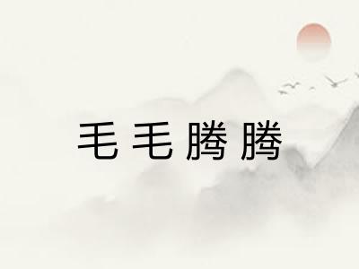 毛毛腾腾