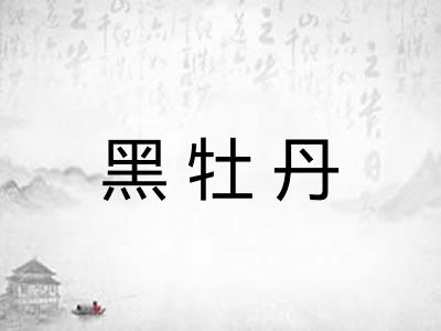 黑牡丹