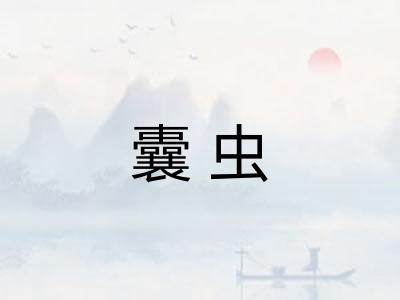 囊虫