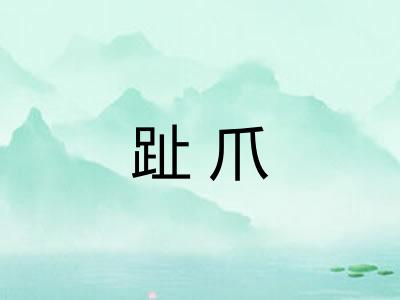 趾爪