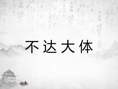 不达大体