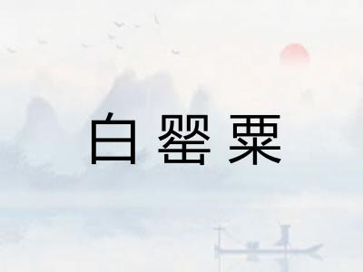 白罂粟