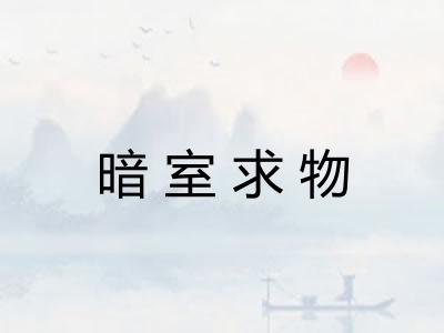 暗室求物
