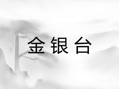 金银台