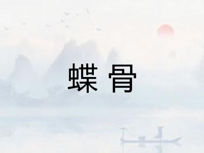 蝶骨