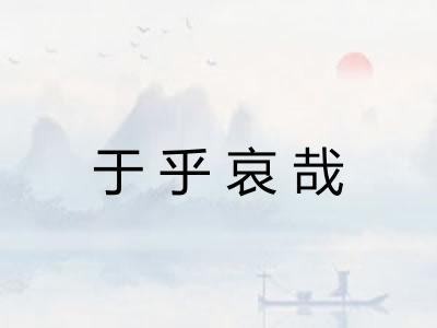 于乎哀哉