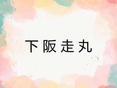 下阪走丸 下阪走丸