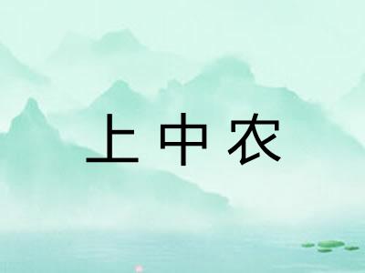 上中农