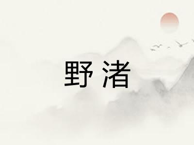 野渚 野渚