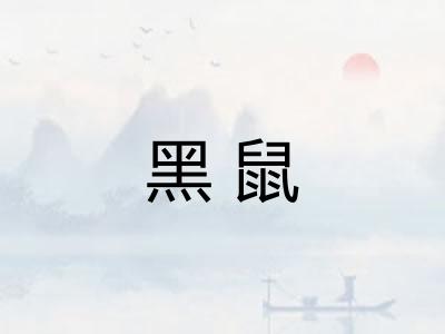 黑鼠