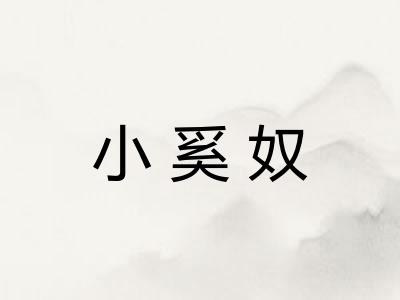 小奚奴