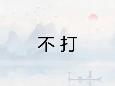 不打