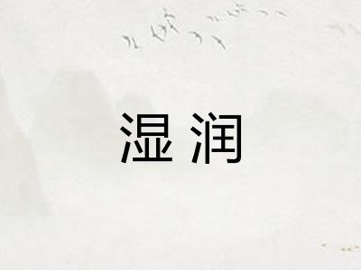 湿润