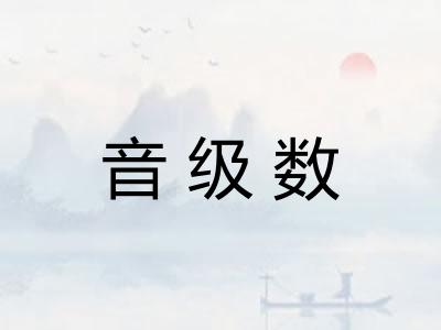 音级数