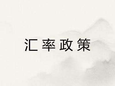 汇率政策