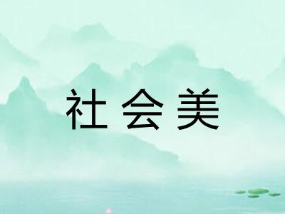 社会美