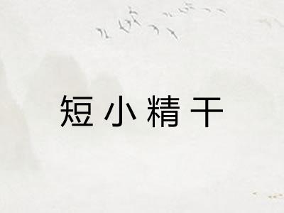 短小精干