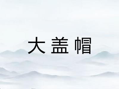 大盖帽