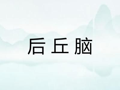 后丘脑