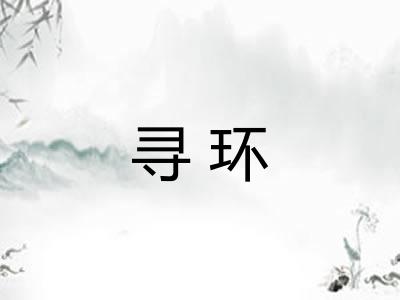 寻环