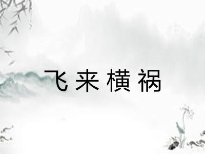 飞来横祸