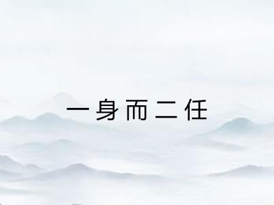 一身而二任