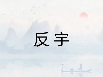 反宇