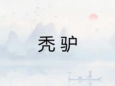 秃驴