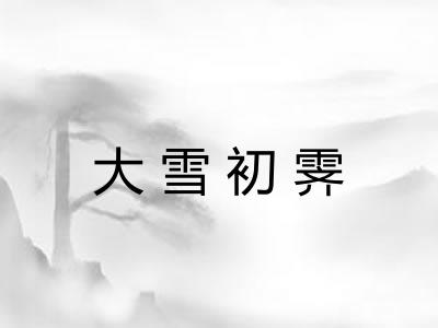 大雪初霁