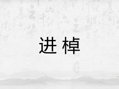 进棹