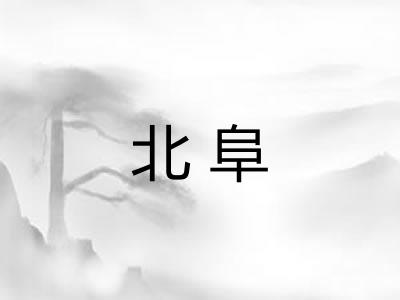 北阜