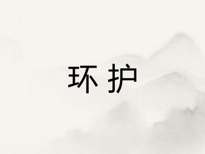 环护