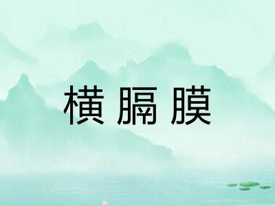 横膈膜