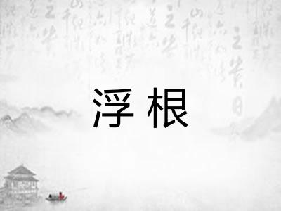 浮根