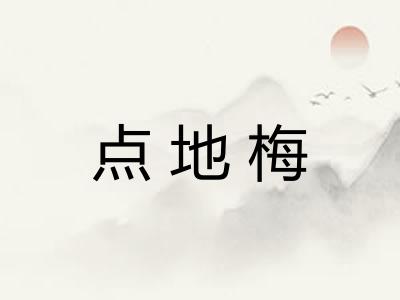 点地梅