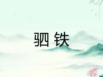驷铁