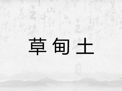 草甸土
