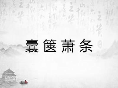 囊箧萧条