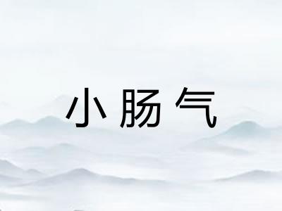 小肠气